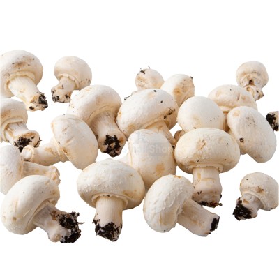 Шампиньоны свежие 500 г - купить в Намцыре